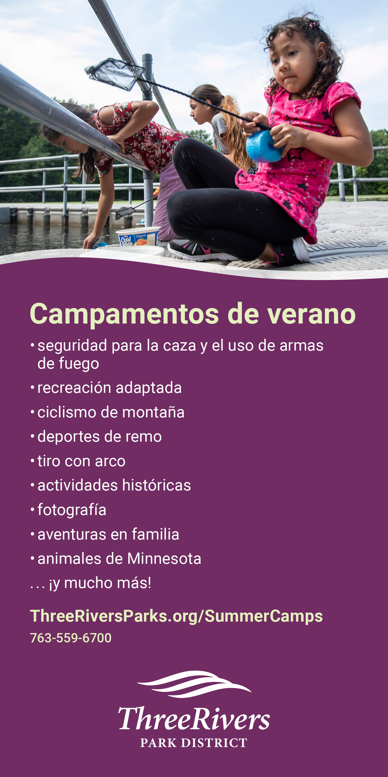 Campamentos de verano